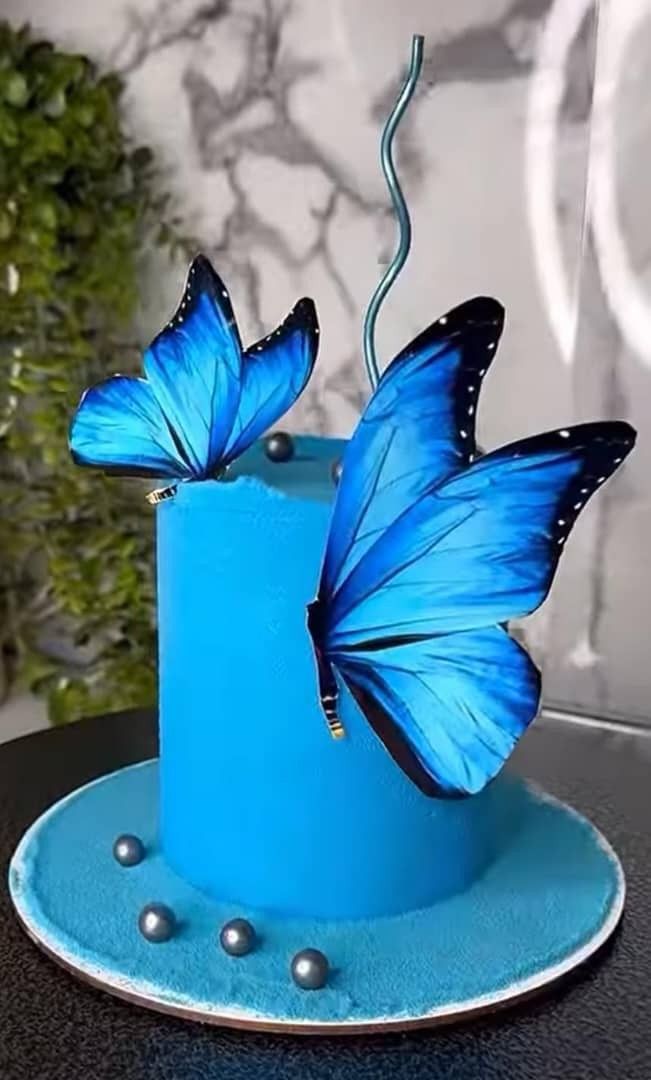 Birthday Celebration Cake 7